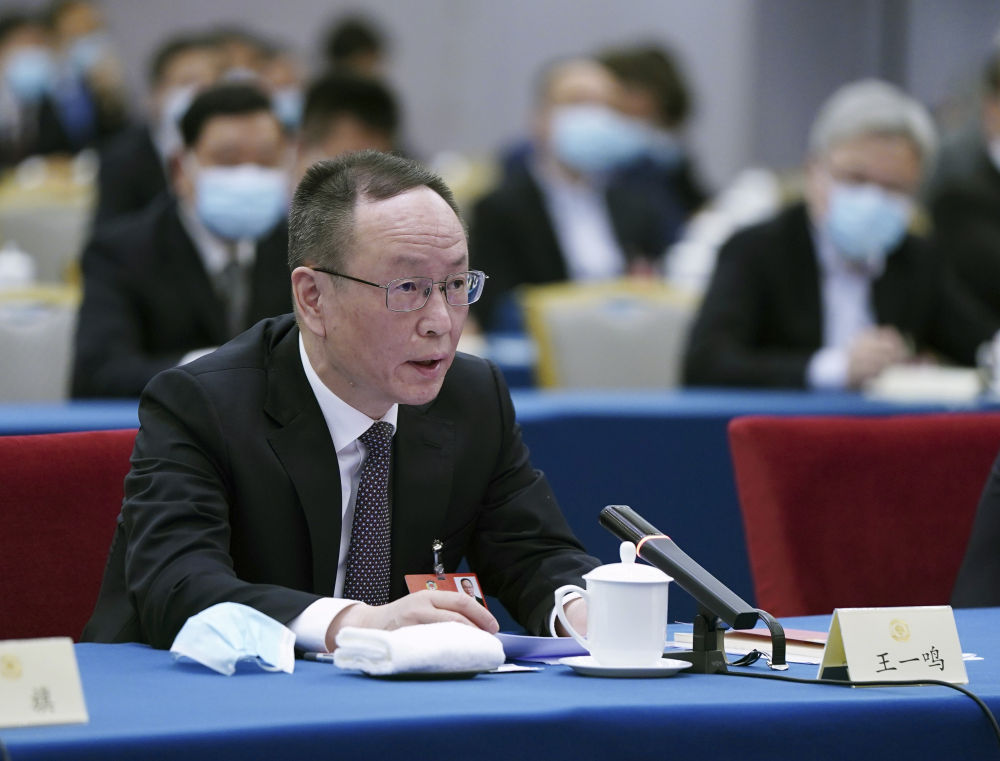 5月23日，全國政協委員王一鳴在經濟界聯組會上發言。新華社記者　謝環馳　攝